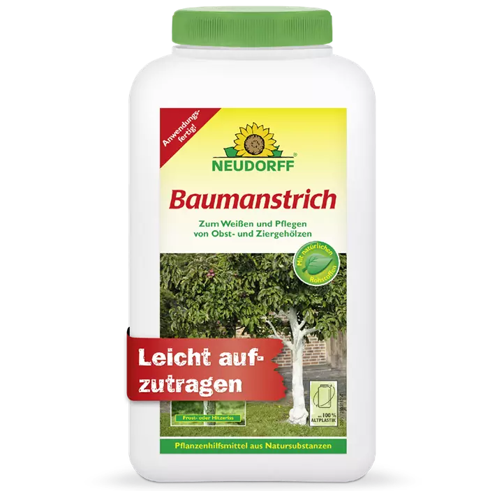 Baumanstrich