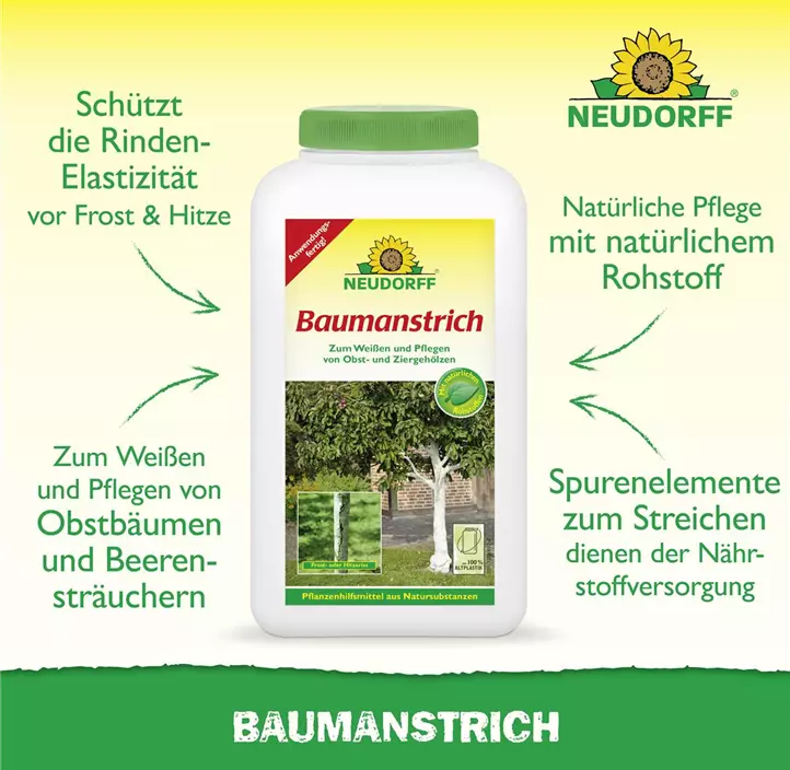 Baumanstrich