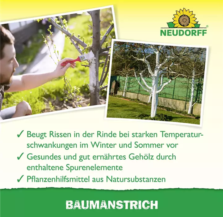 Baumanstrich
