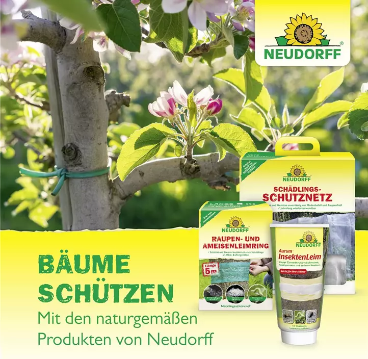 Baumanstrich