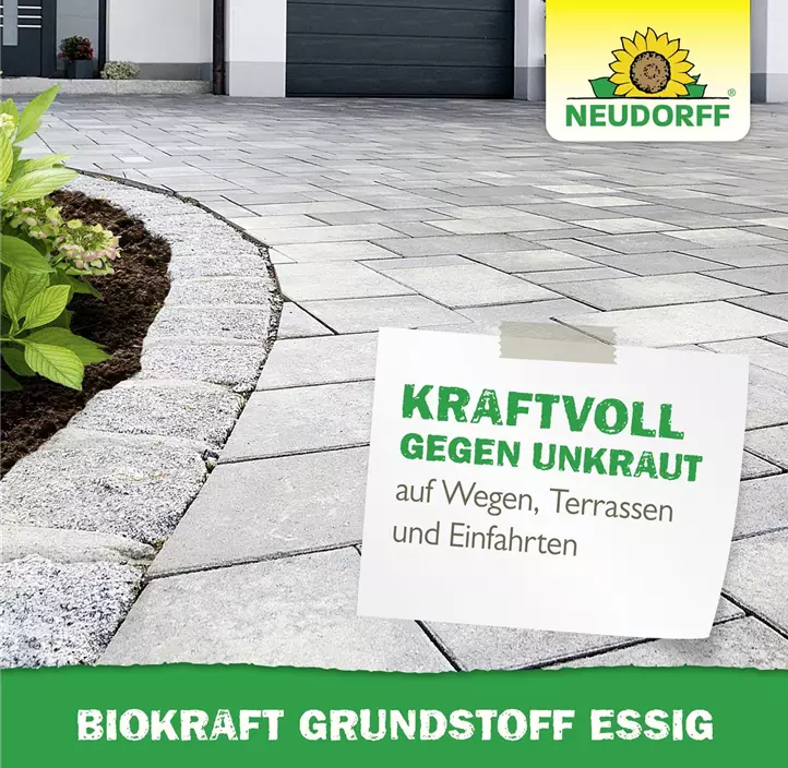 BioKraft Grundstoff Essig