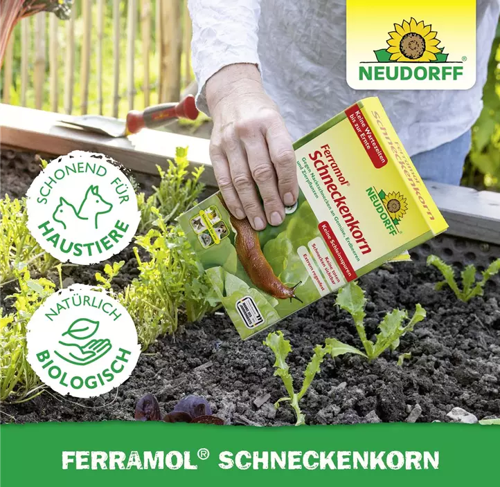 Ferramol Schneckenkorn