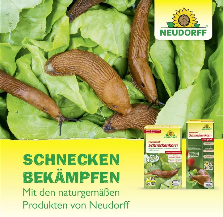 Ferramol Schneckenkorn