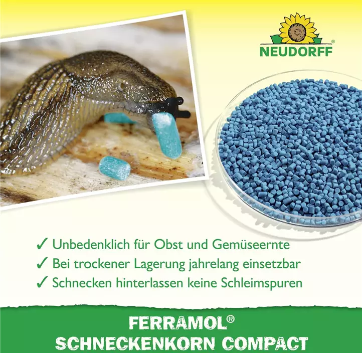 Ferramol Schneckenkorn compact