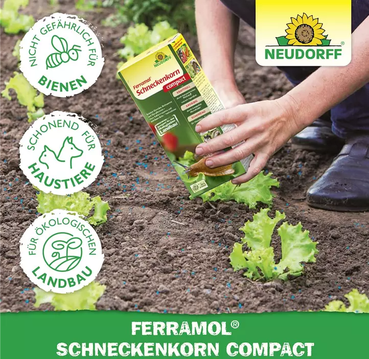 Ferramol Schneckenkorn compact
