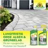 bellaflora Gartencenter GmbH