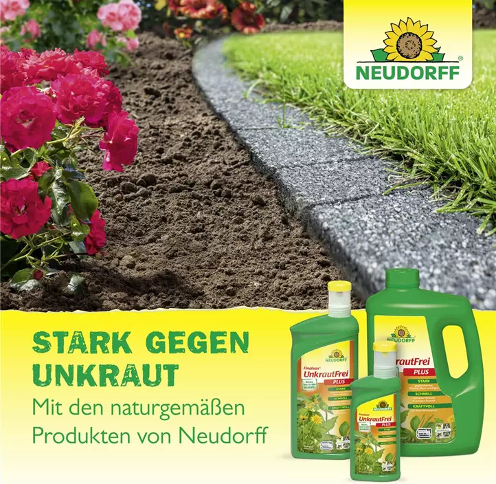 Finalsan AF Wege- und FugenRein