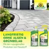 bellaflora Gartencenter GmbH