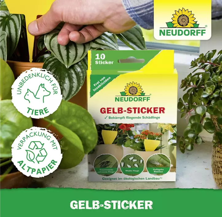 Gelb-Sticker