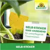 bellaflora Gartencenter GmbH