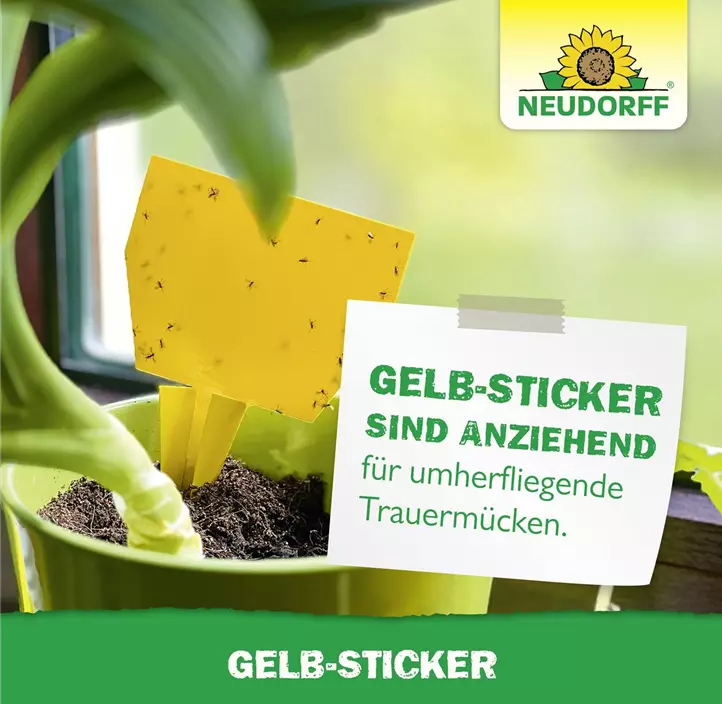 Gelb-Sticker