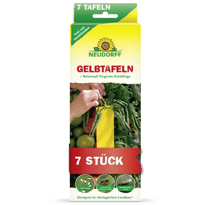 Gelbtafeln Hobby
