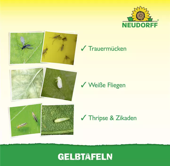 Gelbtafeln Hobby