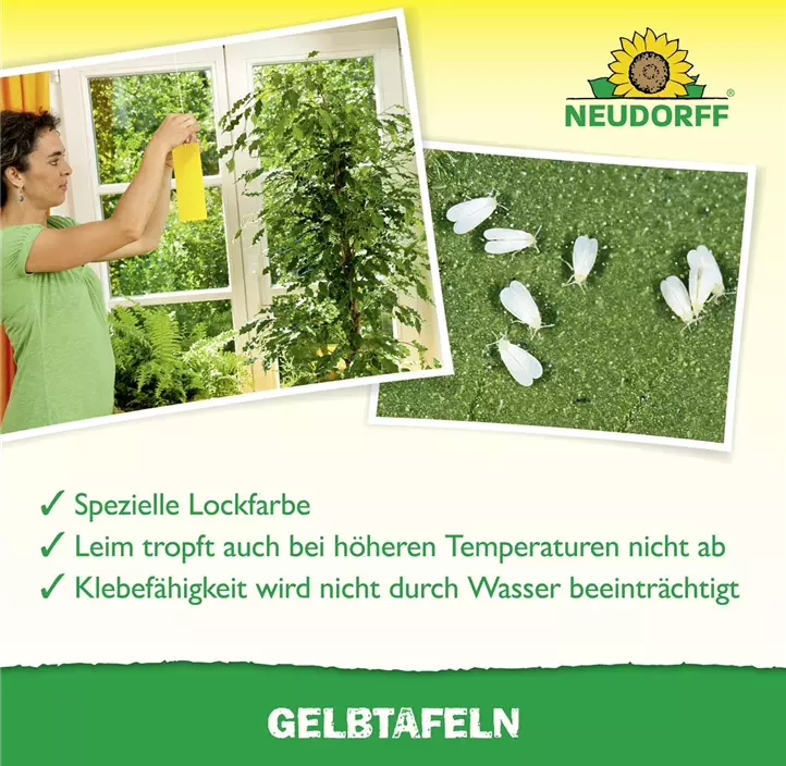 Gelbtafeln Hobby