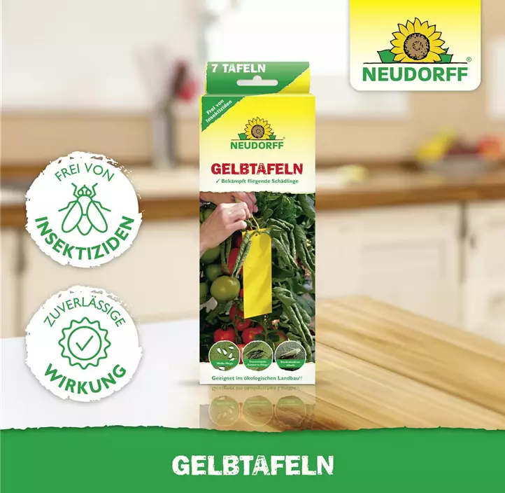 Gelbtafeln Hobby