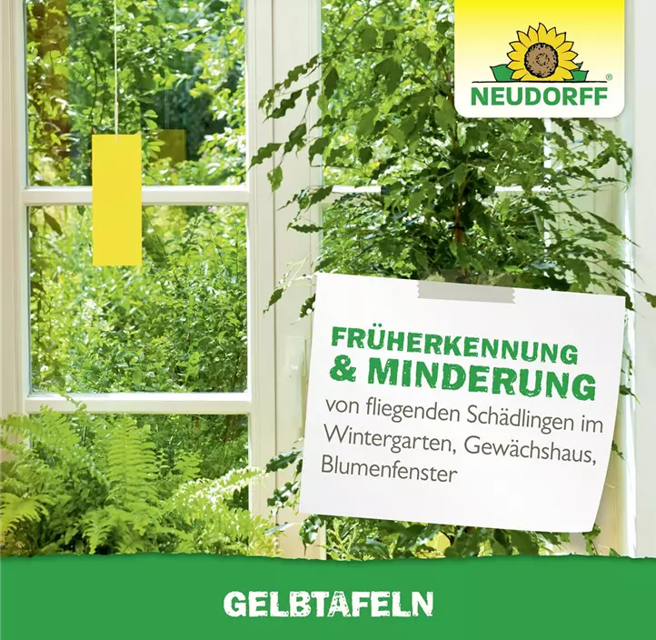 Gelbtafeln Hobby