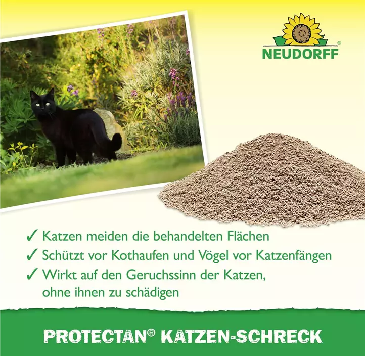 Katzenschreck