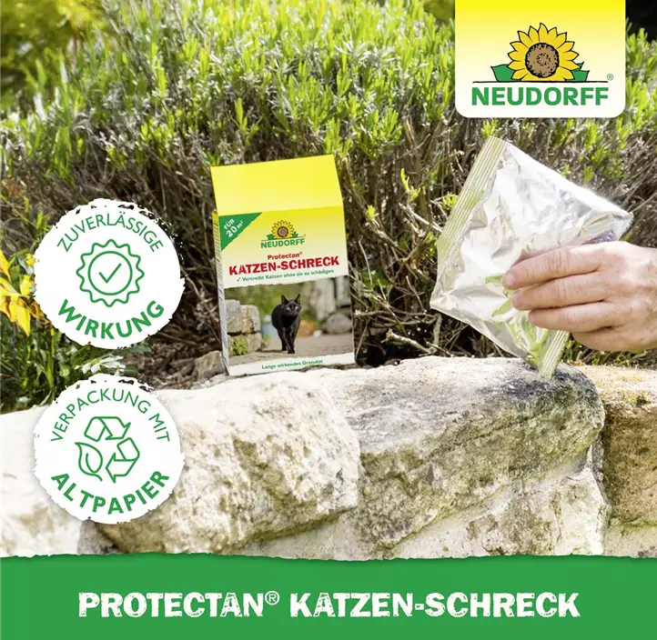Katzenschreck