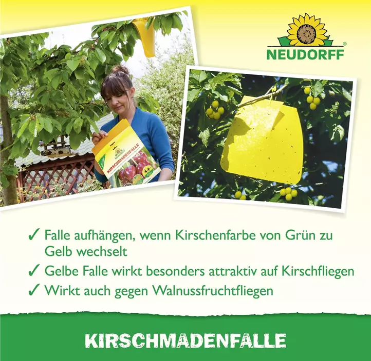 Kirschmadenfalle