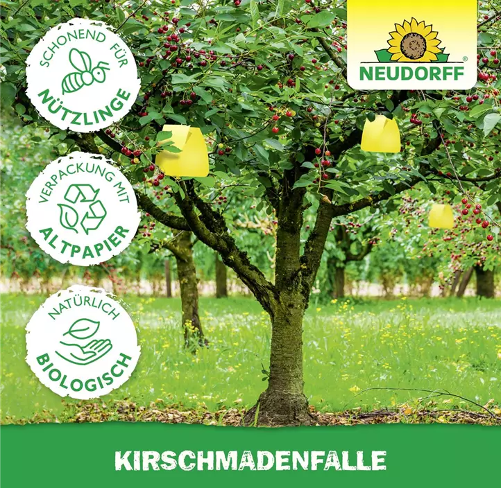 Kirschmadenfalle