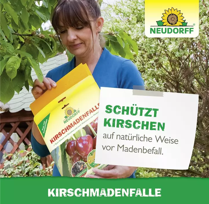 Kirschmadenfalle