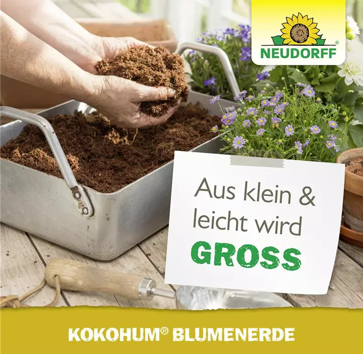 Kokohum - Blumenerde