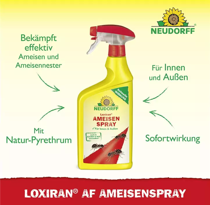 Loxiran AF Ameisenspray