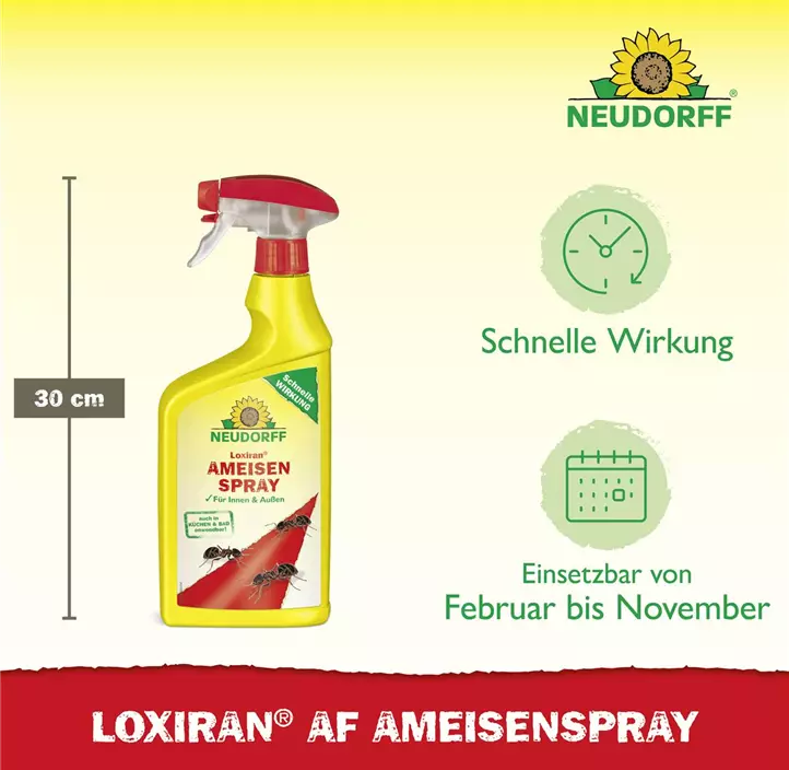 Loxiran AF Ameisenspray
