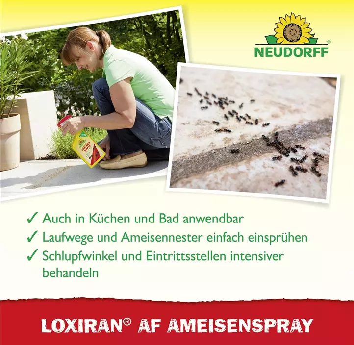 Loxiran AF Ameisenspray