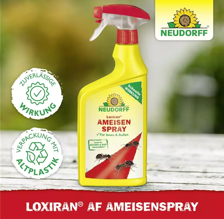 Loxiran AF Ameisenspray