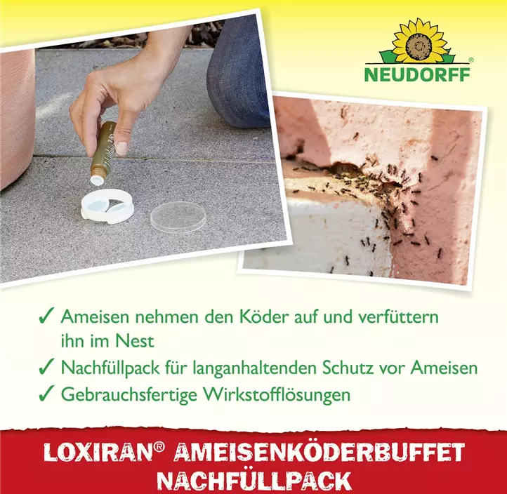 Loxiran Ameisen Köder Nachfüllung
