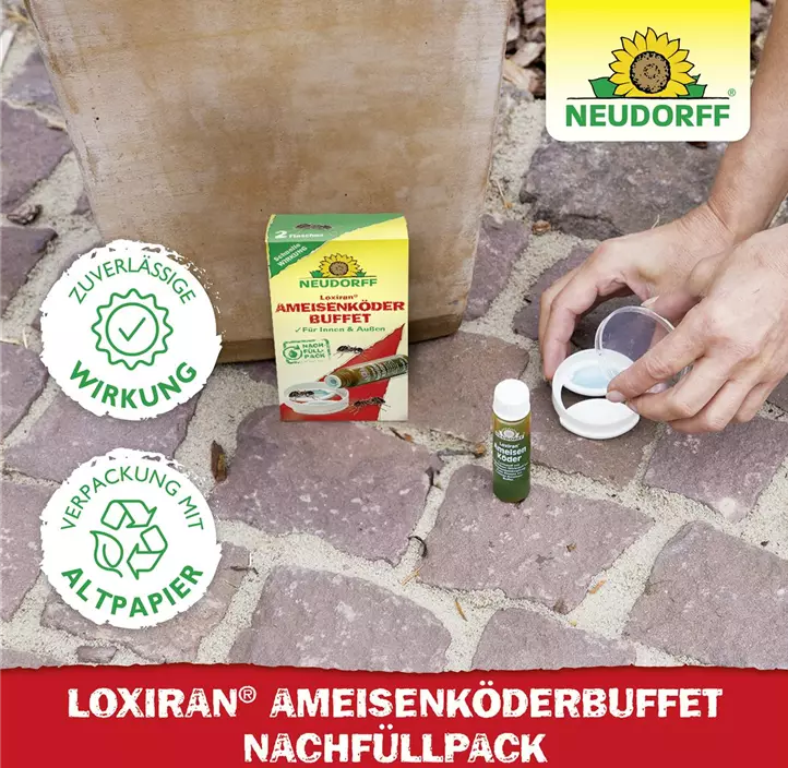 Loxiran Ameisen Köder Nachfüllung