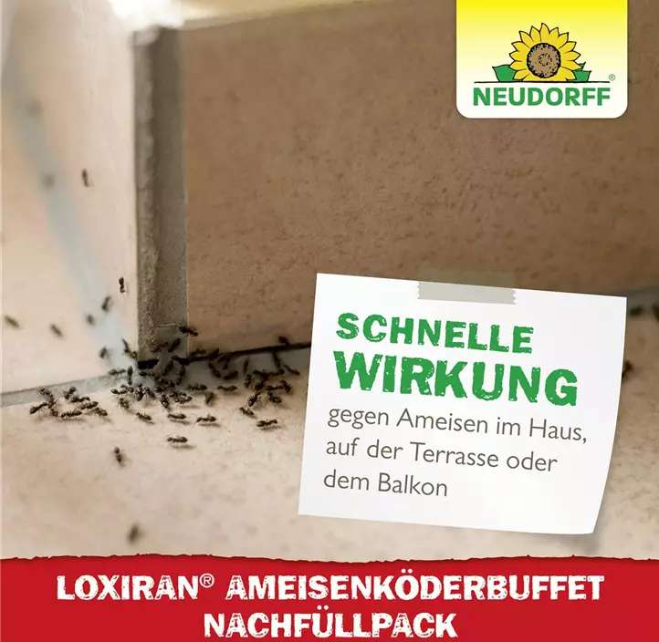 Loxiran Ameisen Köder Nachfüllung
