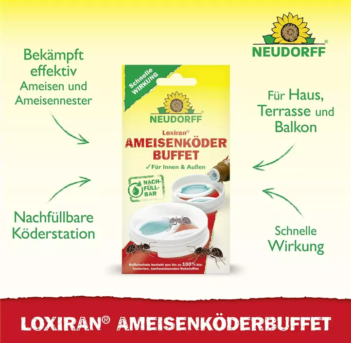 Loxiran Ameisenbuffet 2 Stk.