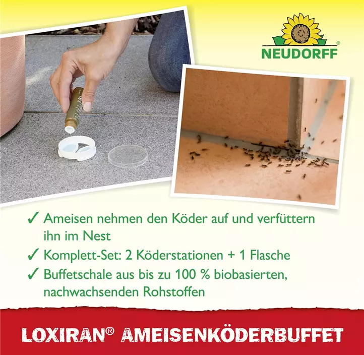 Loxiran Ameisenbuffet 2 Stk.