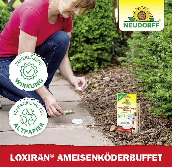 Loxiran Ameisenbuffet 2 Stk.