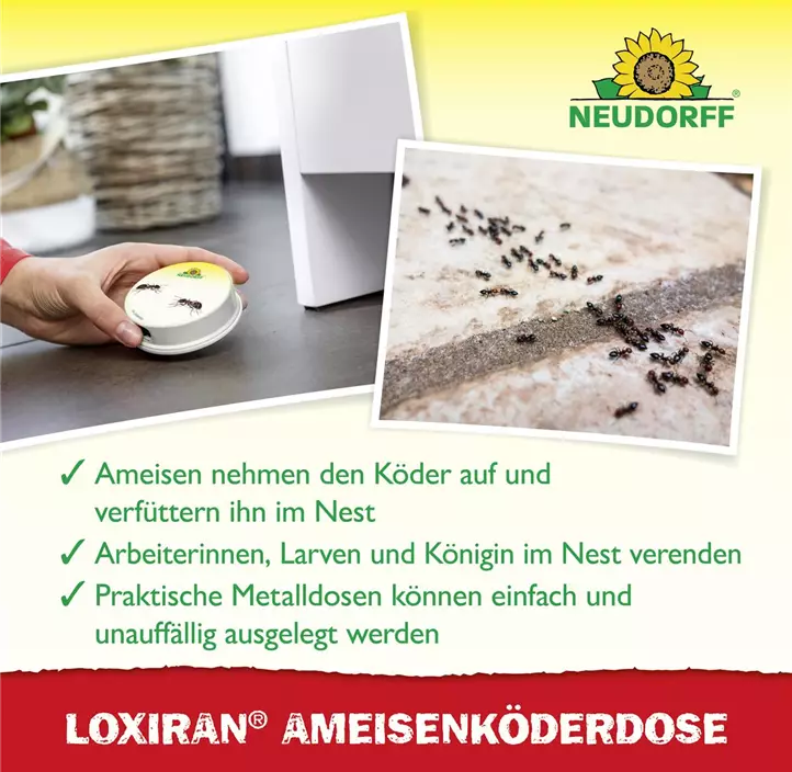 Loxiran Ameisenköderdose