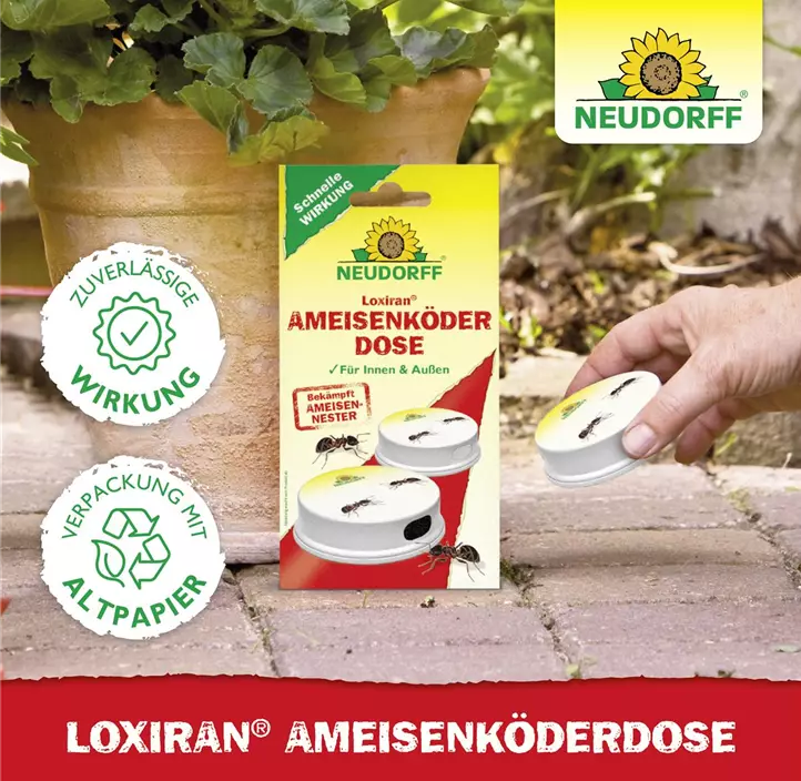 Loxiran Ameisenköderdose