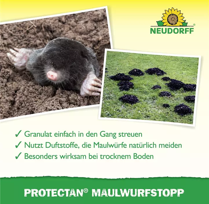 Maulwurf-Stopp