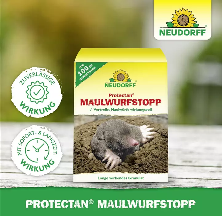 Maulwurf-Stopp