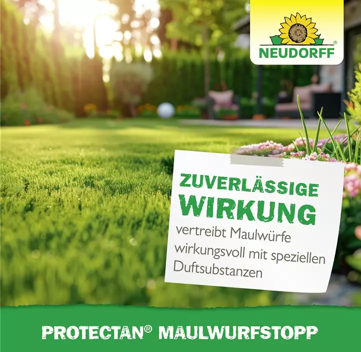 Maulwurf-Stopp