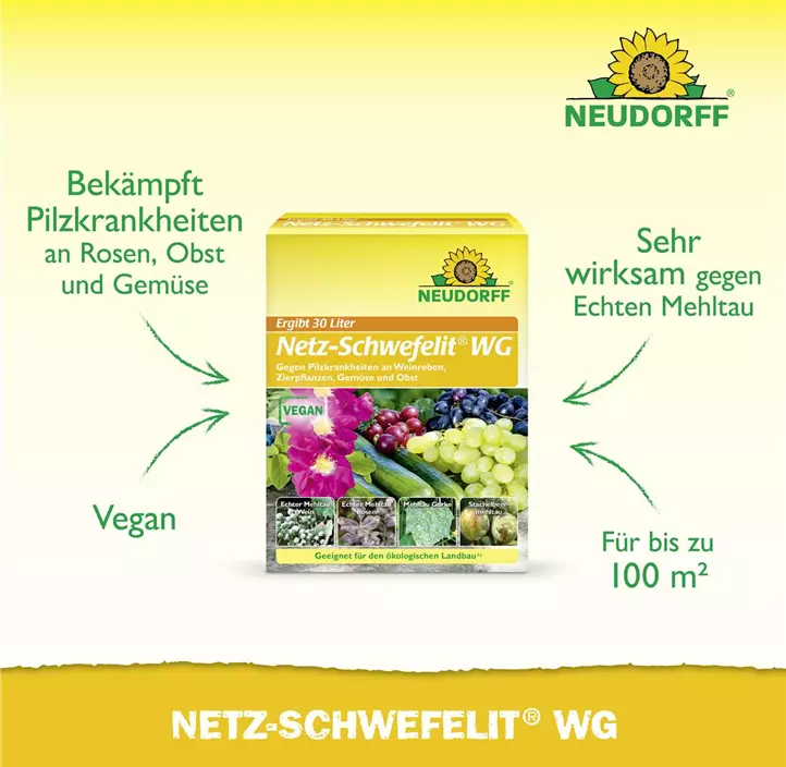 Netz-Schwefelit WG