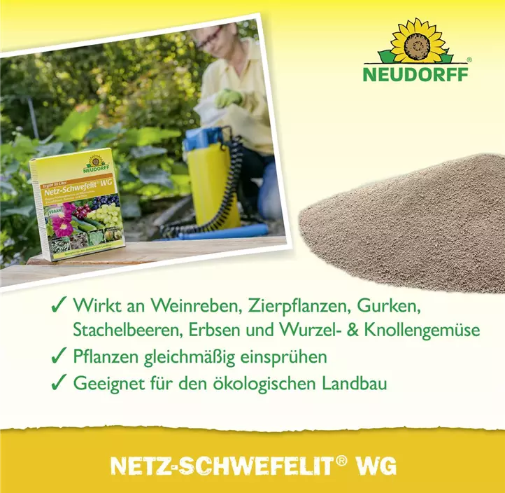 Netz-Schwefelit WG