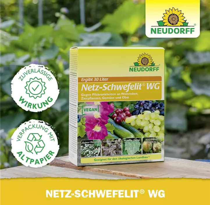 Netz-Schwefelit WG