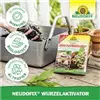 bellaflora Gartencenter GmbH