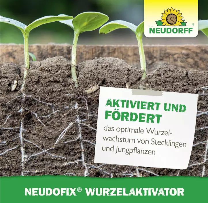 Neudofix WurzelAktivator