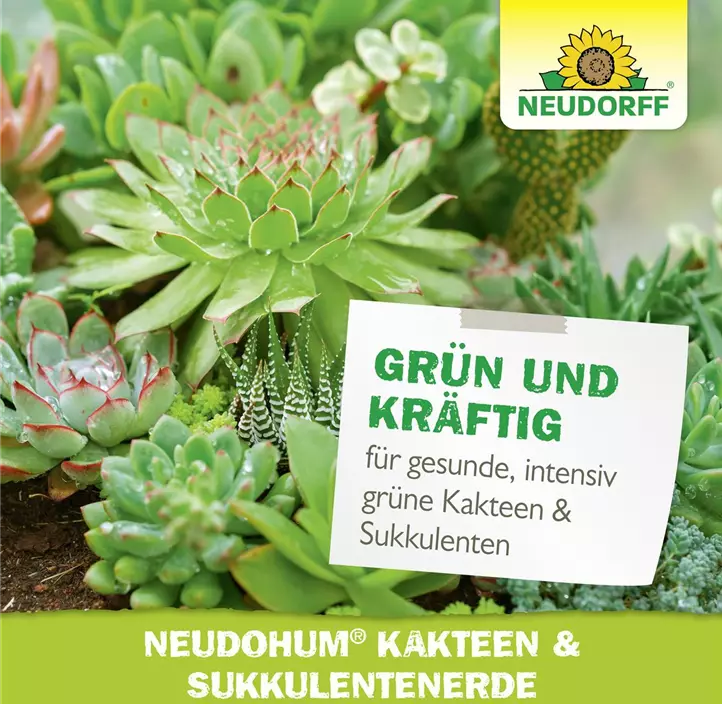 Neudohum Kakteenerde