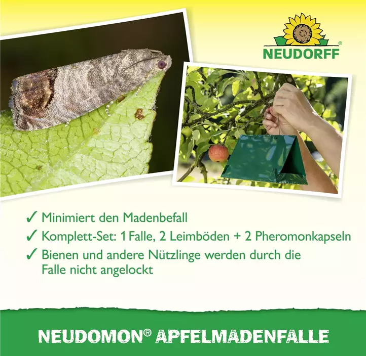 Neudomon Apfelmadenfalle