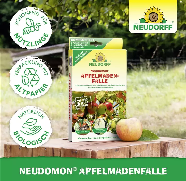 Neudomon Apfelmadenfalle