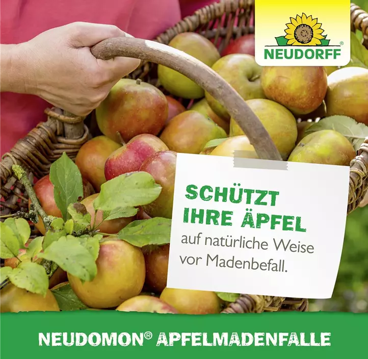 Neudomon Apfelmadenfalle
